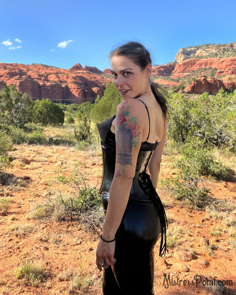 Read more about the article Professional Dominatrix Phoenix : Mistress Pomf